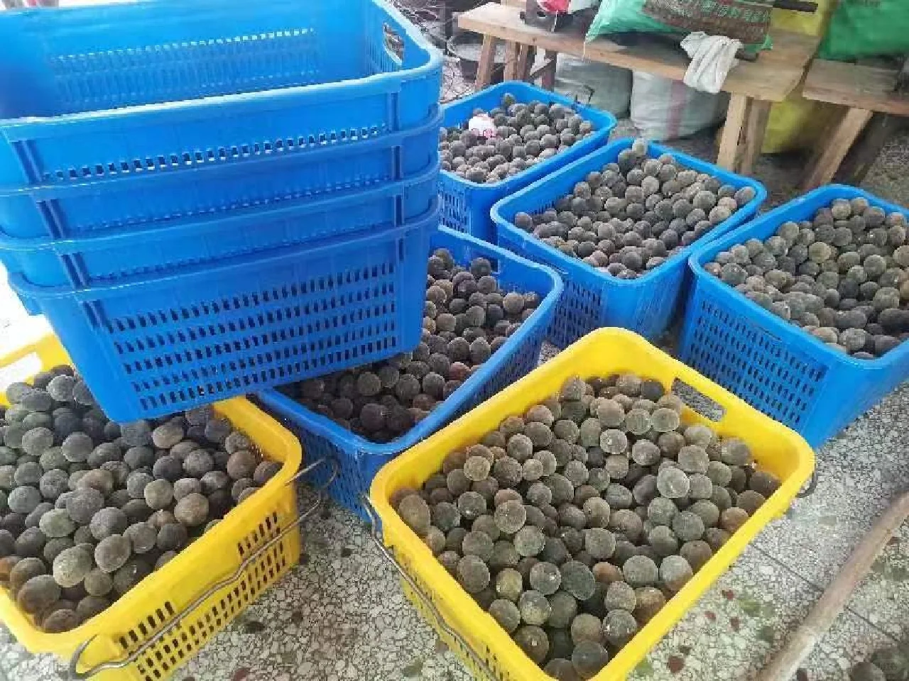 记录乡村乡事，乡村生活点滴，乡村农副产品、绿色生态原产品，助力乡村振兴，帮扶村民