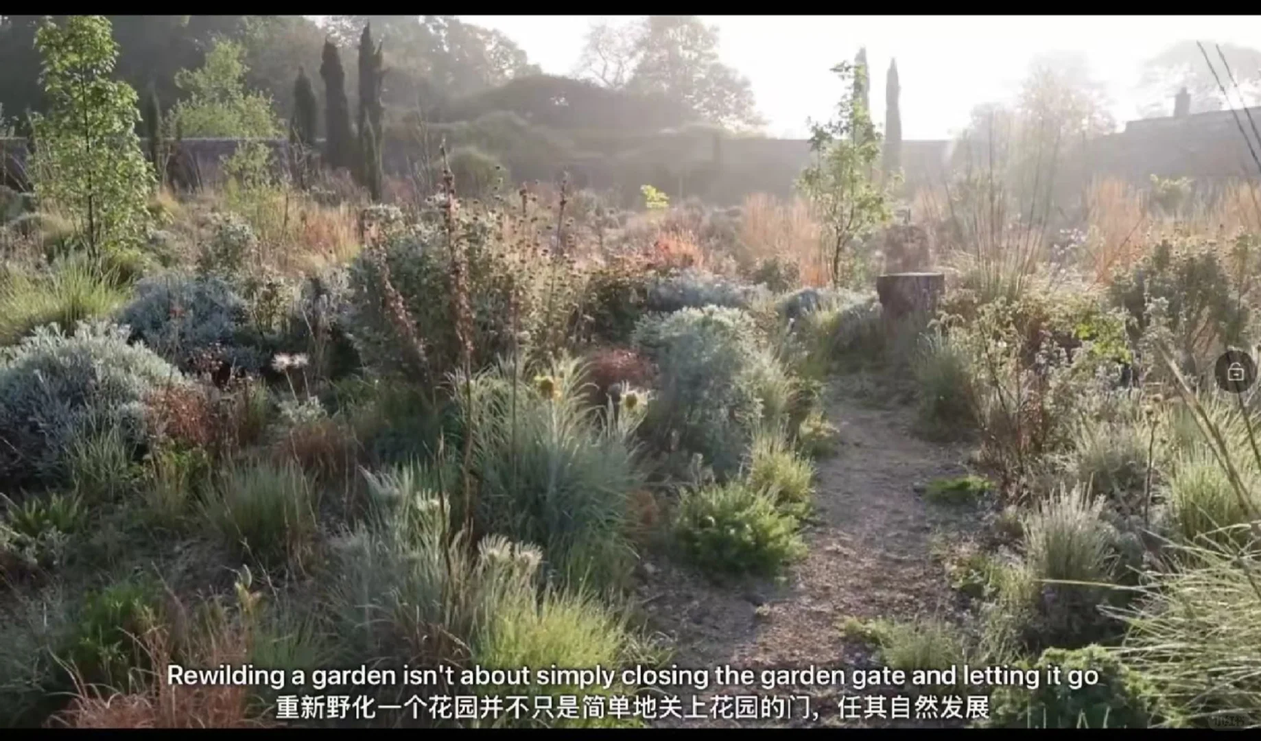 Rewilding(重新野化土壤)—审美观念的转变