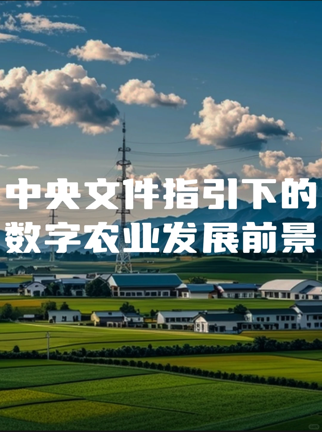 中央文件指引下的数字农业发展前景