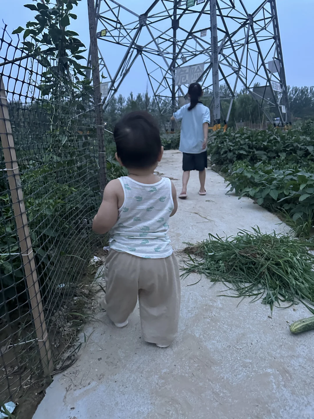 宝宝春季应季蔬菜