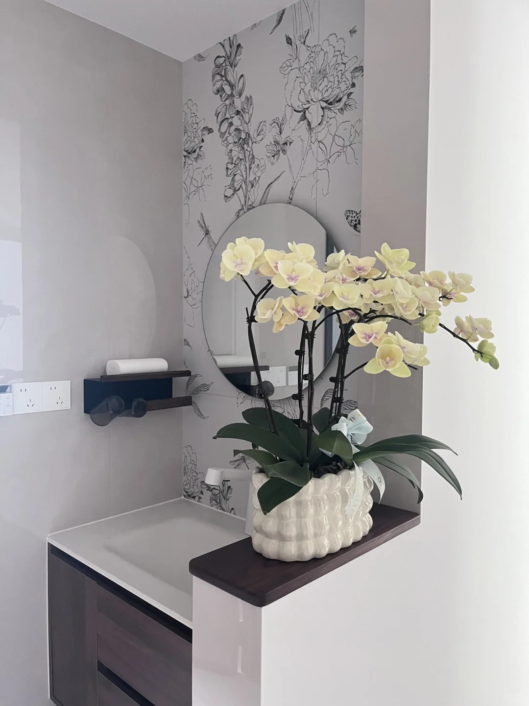 这盆蝴蝶兰，美到我心坎上