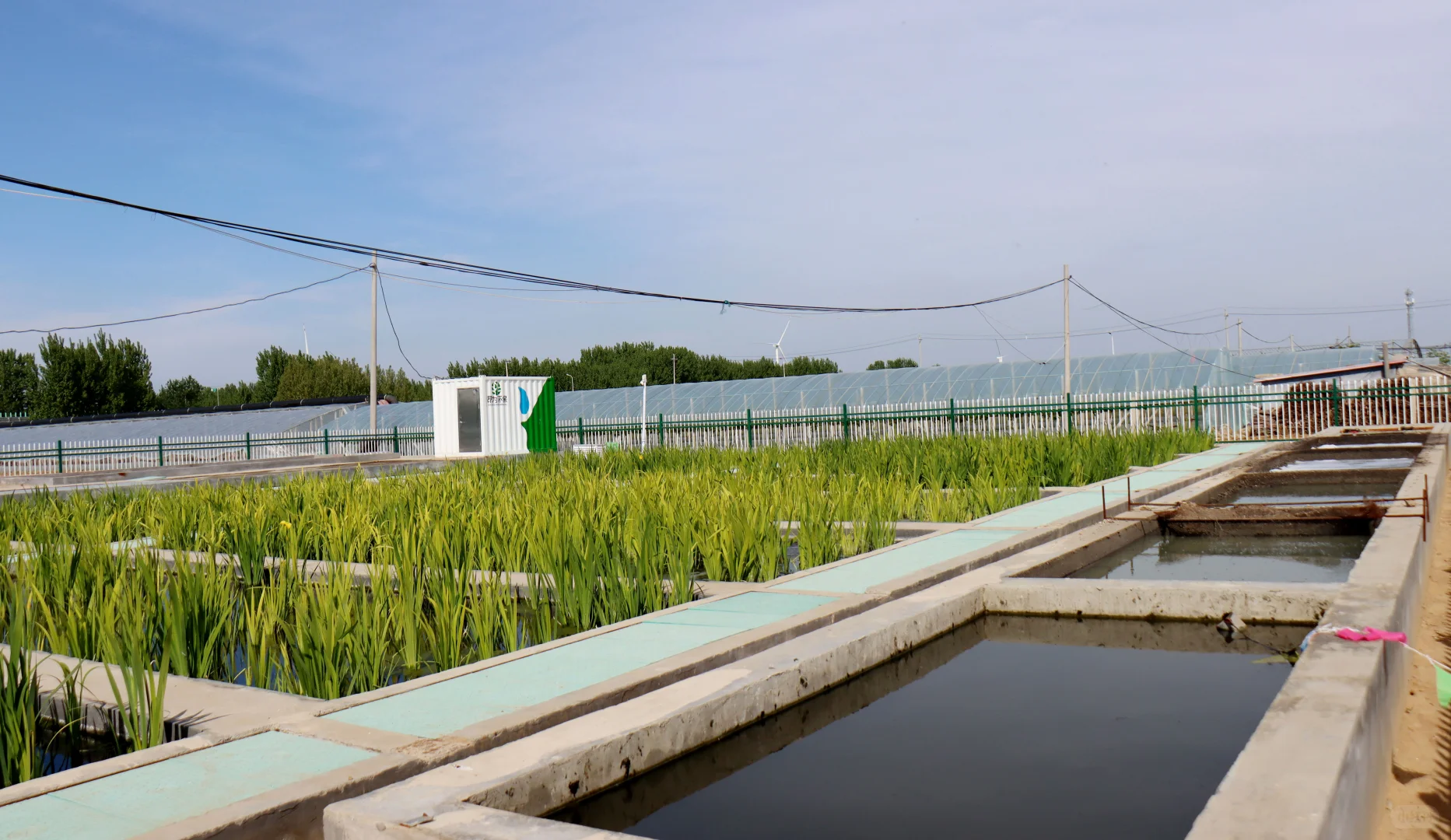 农村生活污水治理资源化利用“最好的方式”