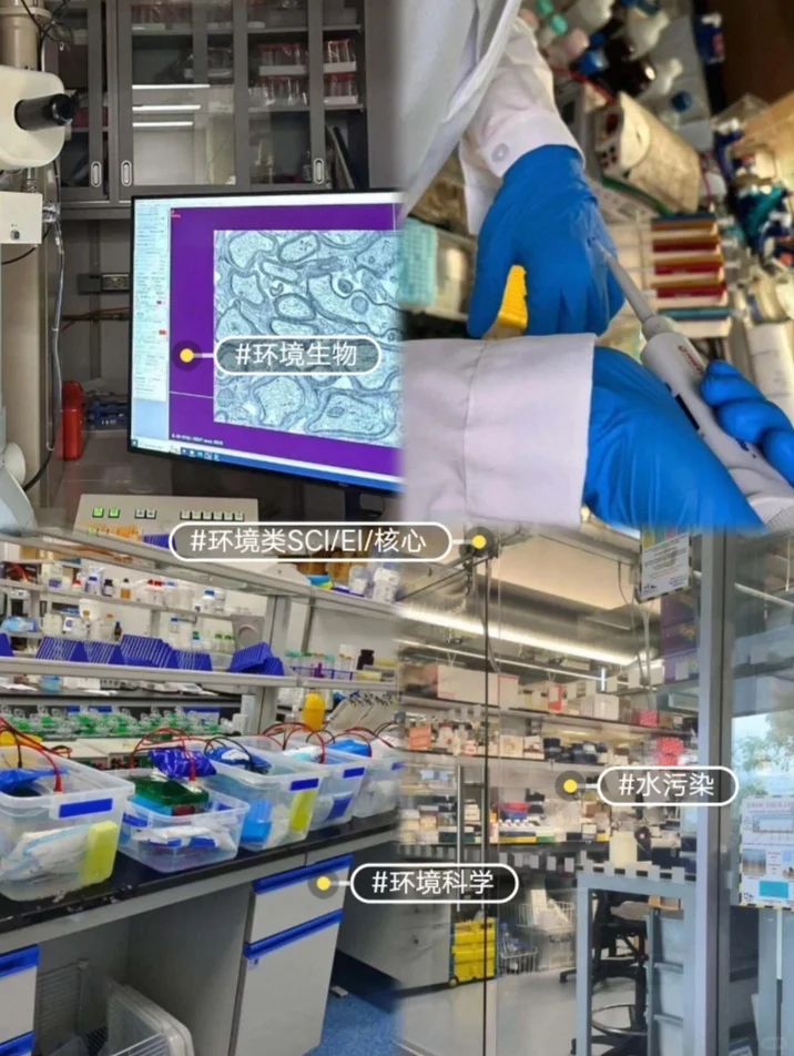 环境类SCI/EI/核心期刊 全流程