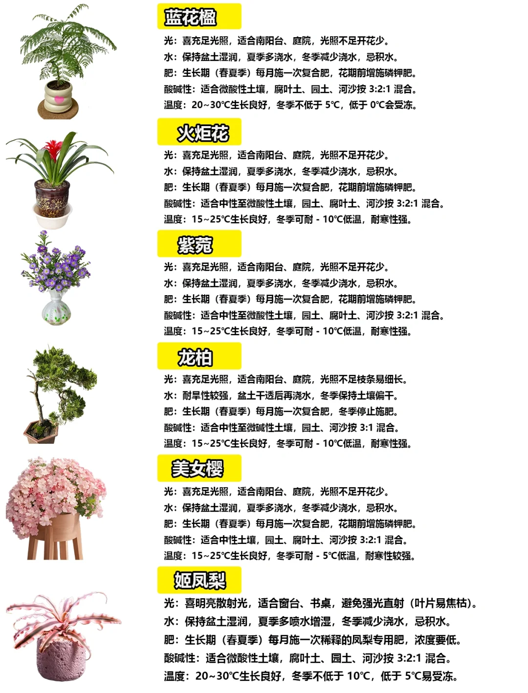 108种绿植花卉养护手册大全