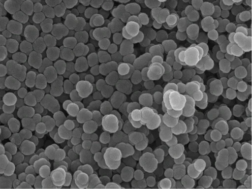 发现微球探索微球