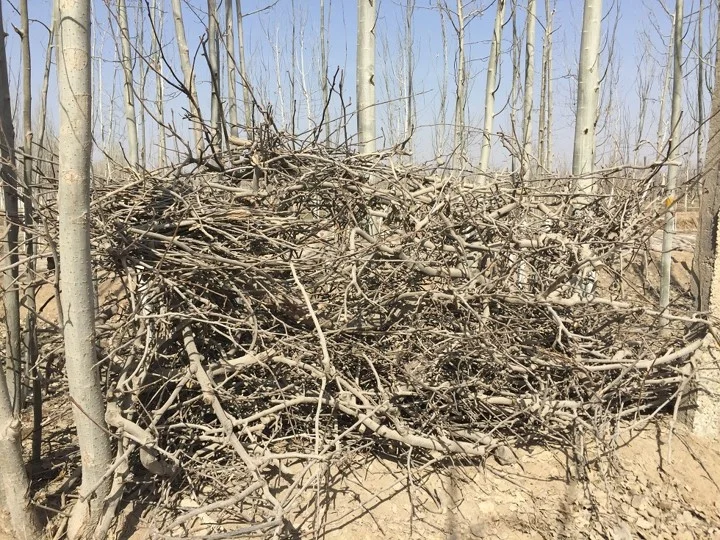 冬季修剪枝条粉碎后用途-自制有机肥