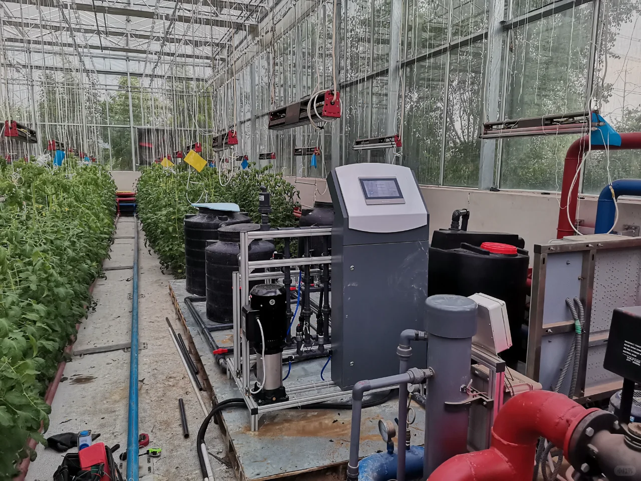 粮食“连年丰”从何而来，智慧农业促发展