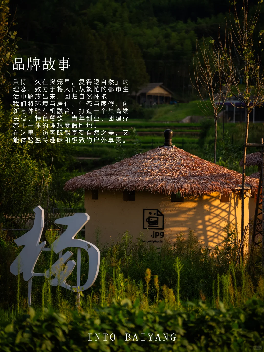 新农人招募令 | 1000亩农田净土在等你