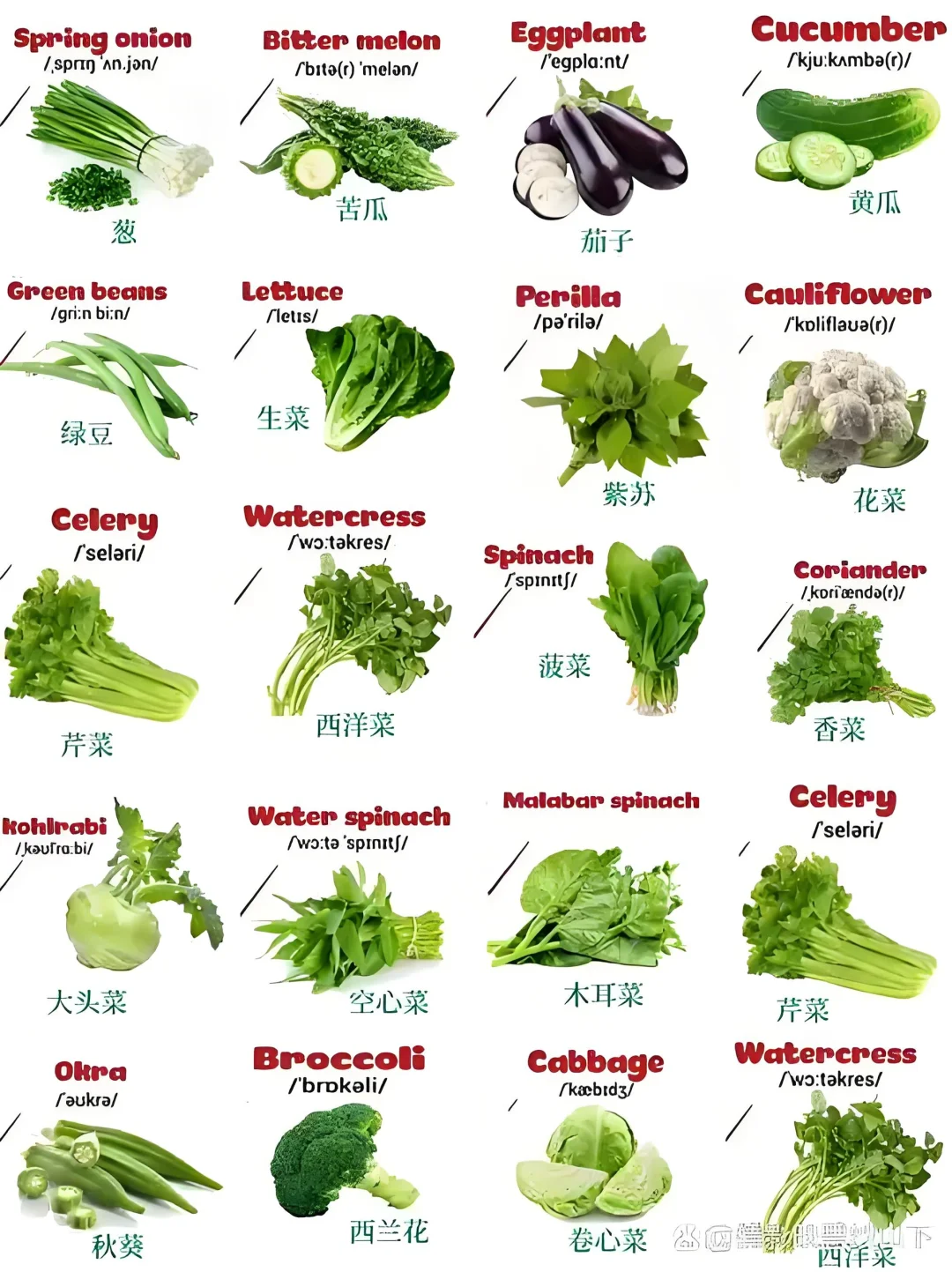 ???英语蔬菜词汇大集合??