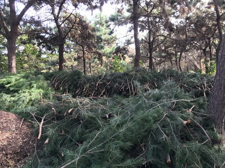 冬季修剪枝条粉碎后用途-自制有机肥