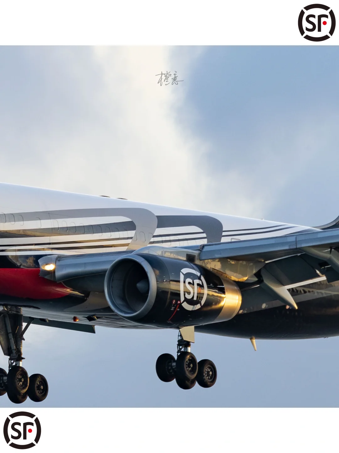 高崎日记179｜你的快递?一大早就在天上飞