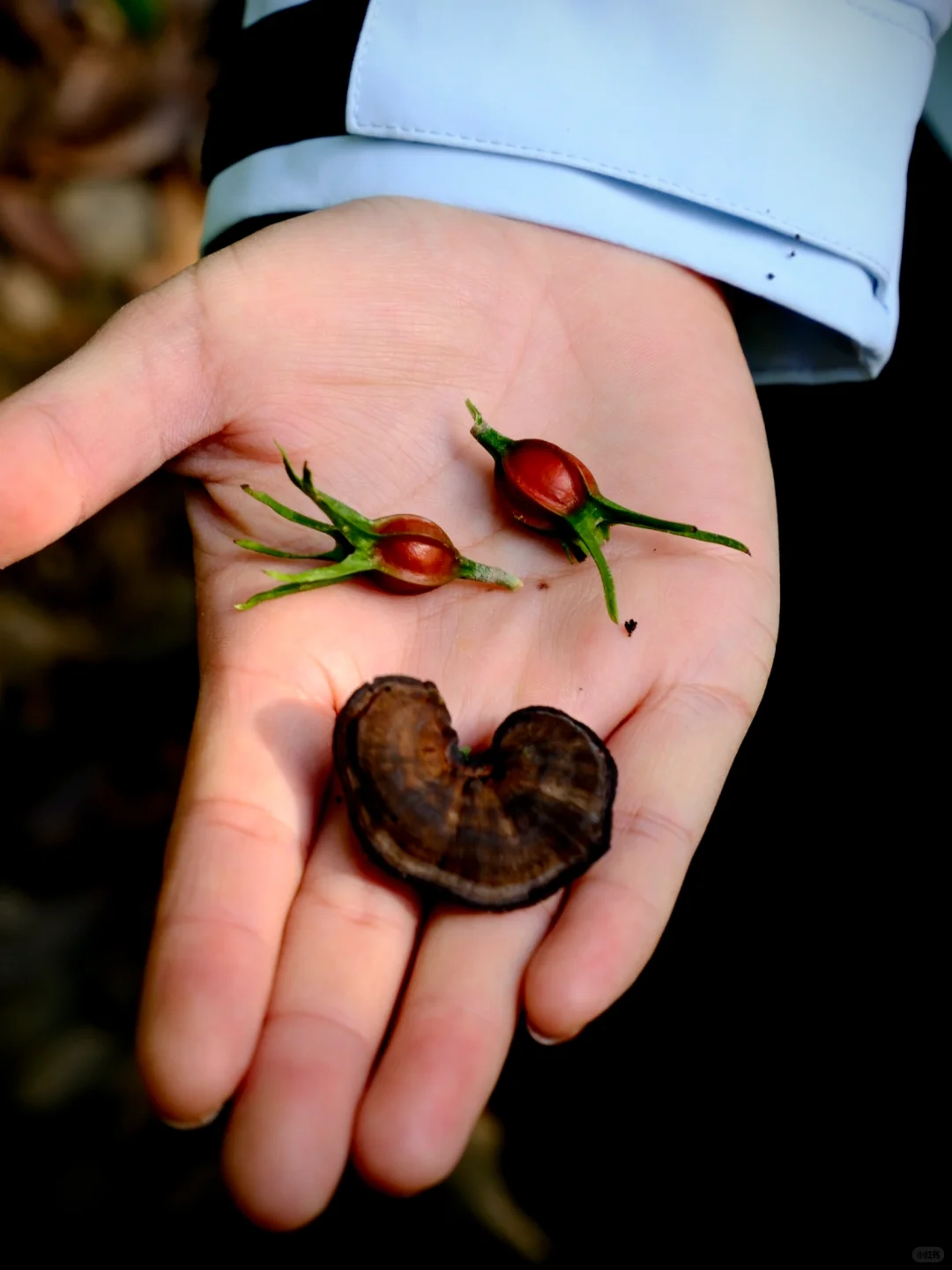 上虞降温首爬 | 梁祝古道环线秋意浓浓?