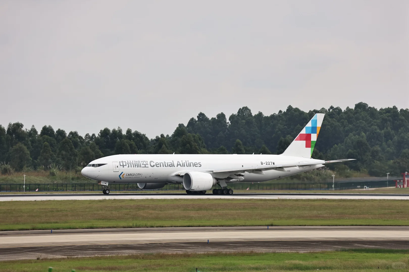 双流难得白天出好货（还扎堆）