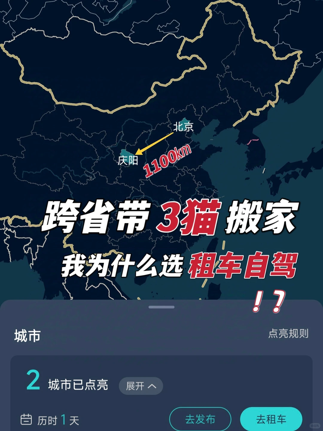 航空/铁路/公路运输 宠物?托运全攻略