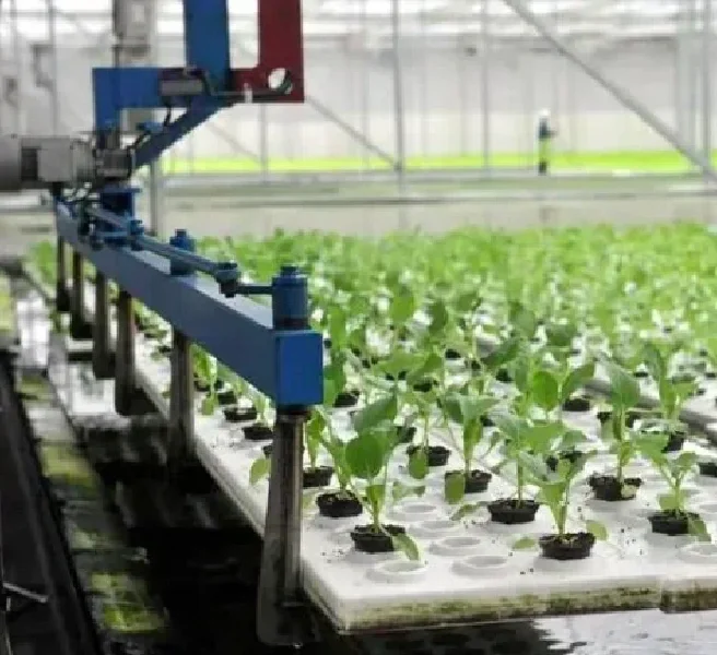 理论知识:智能化是设施农业种植的未来?