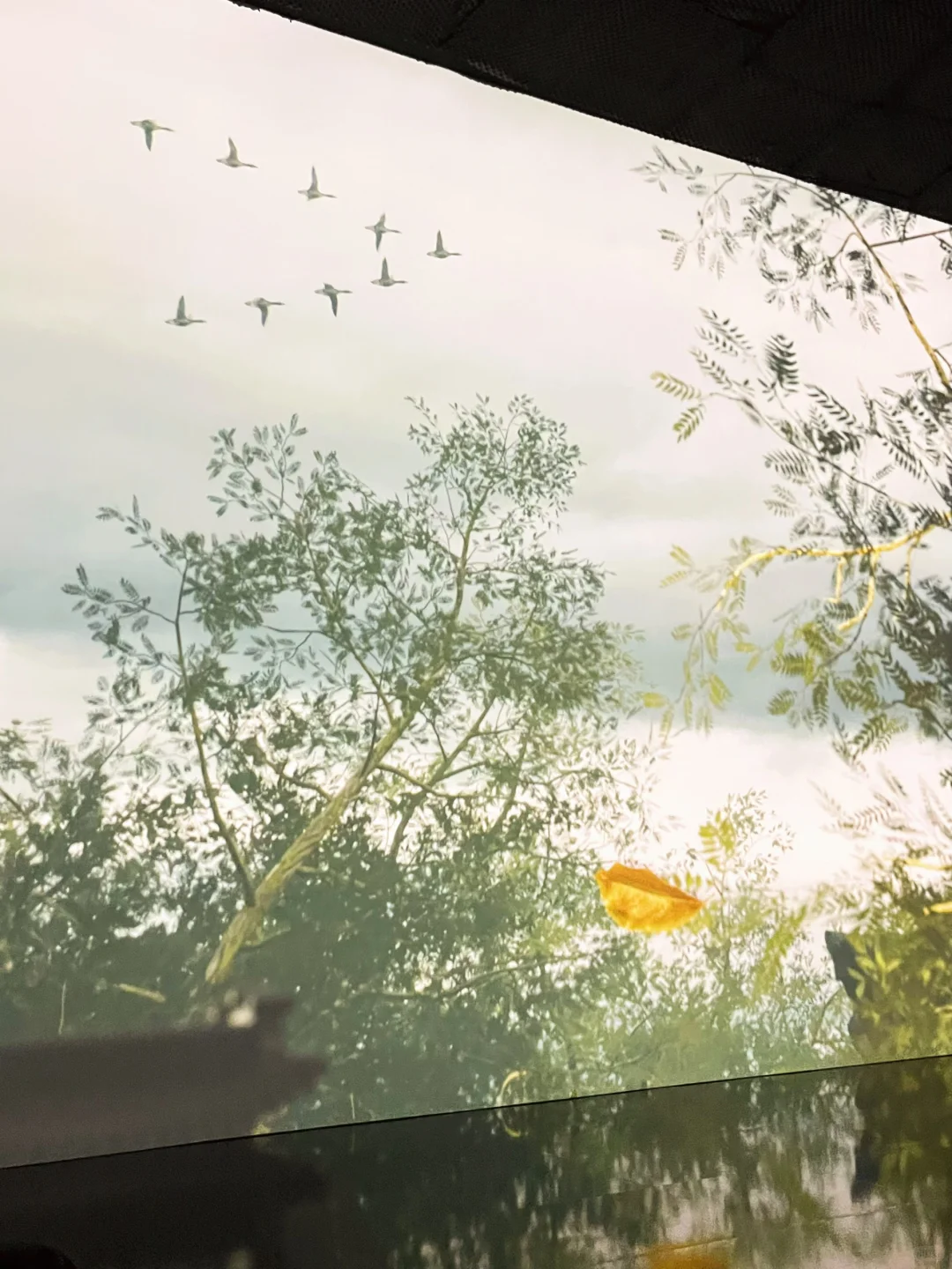 深圳新展|这个文物艺术特展美到我了❗️