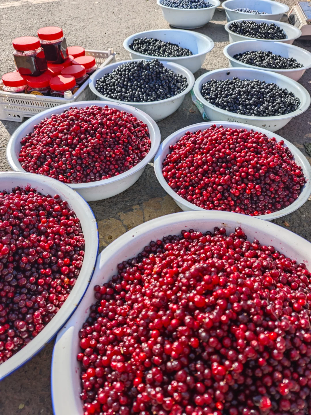 根河早市可以买什么