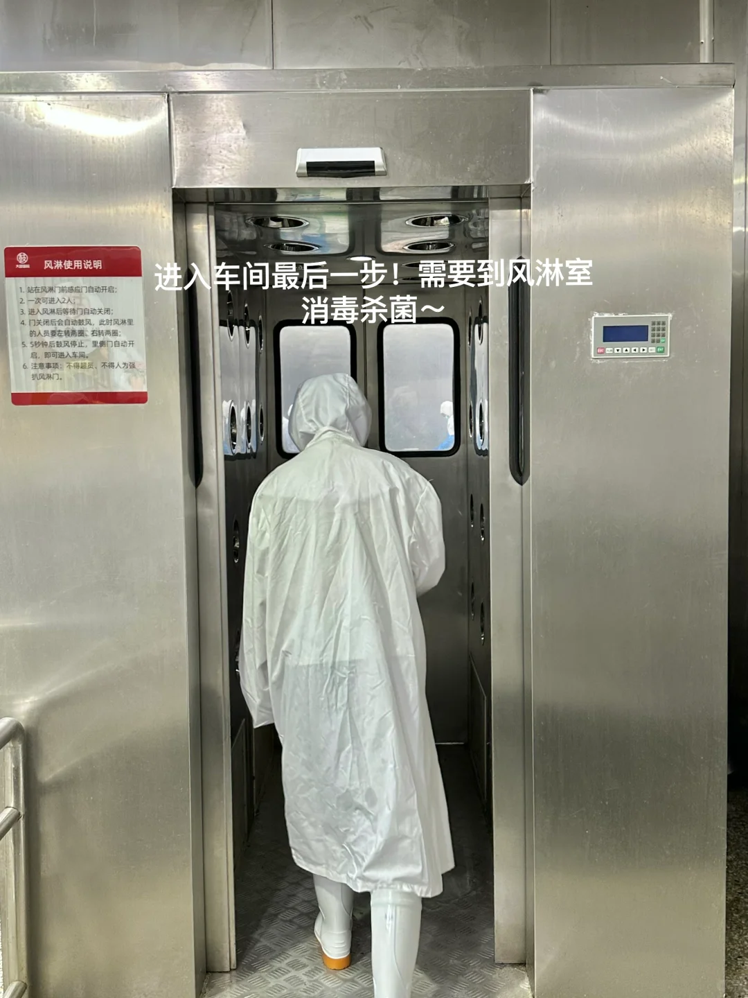 在正新鸡排工厂当卧底的一天...