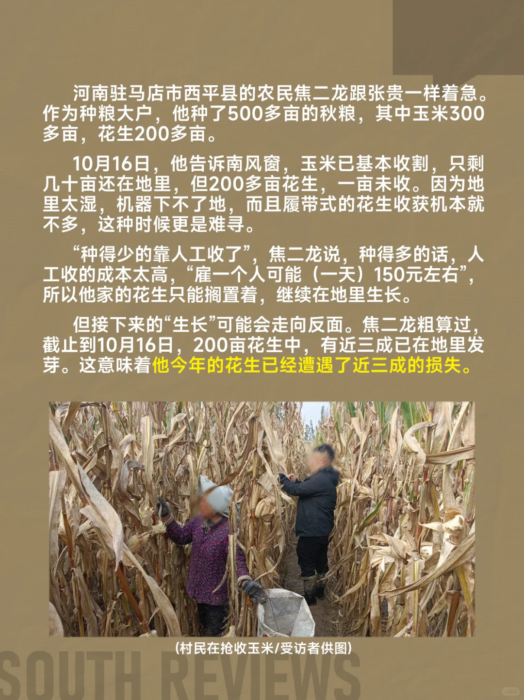 河南农民太苦了,刚经历罕见干旱又遭遇秋涝