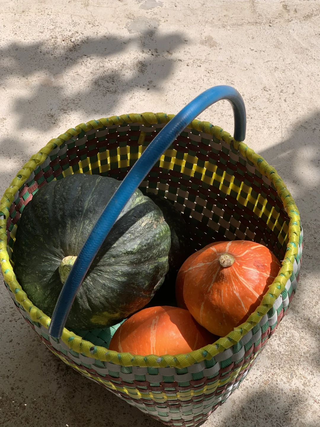 回村吃新鲜果蔬吧