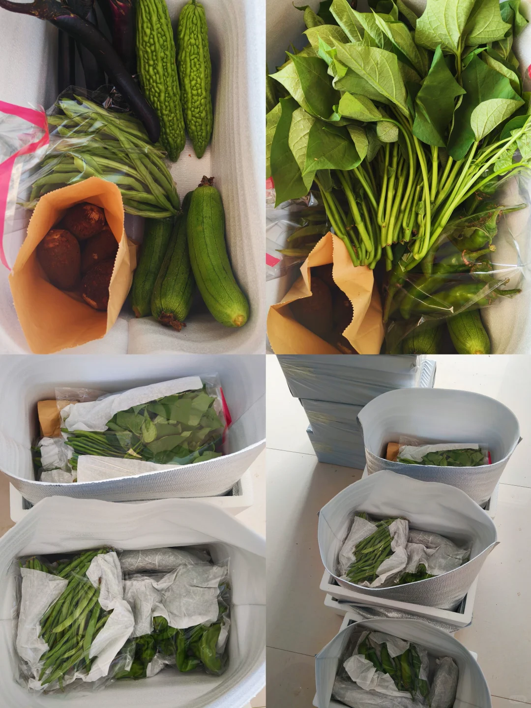 每月150的农家生态蔬菜组合，全国包邮