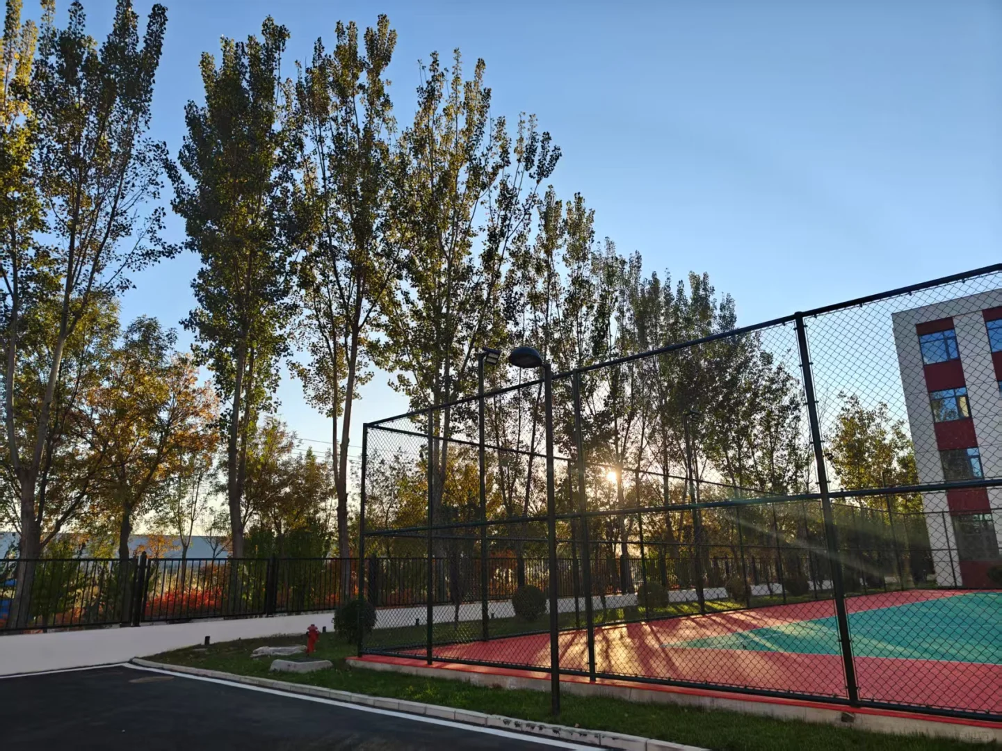 天津智能农业研究院招实习生