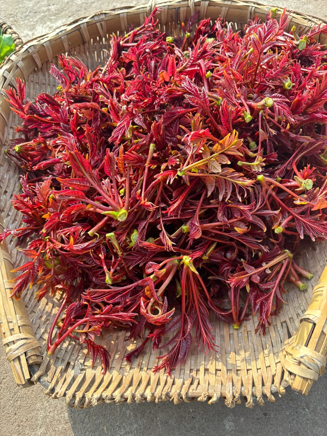 今天给小红书姐妹寄出的露天时令蔬菜拼