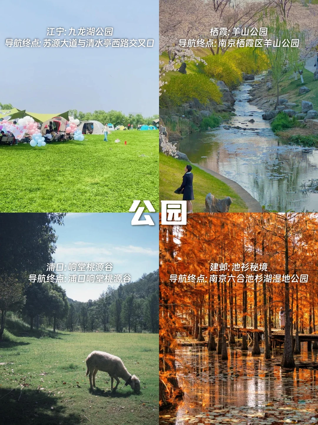 江浙沪露营 | 开车直达的宝藏营地推荐⛺️