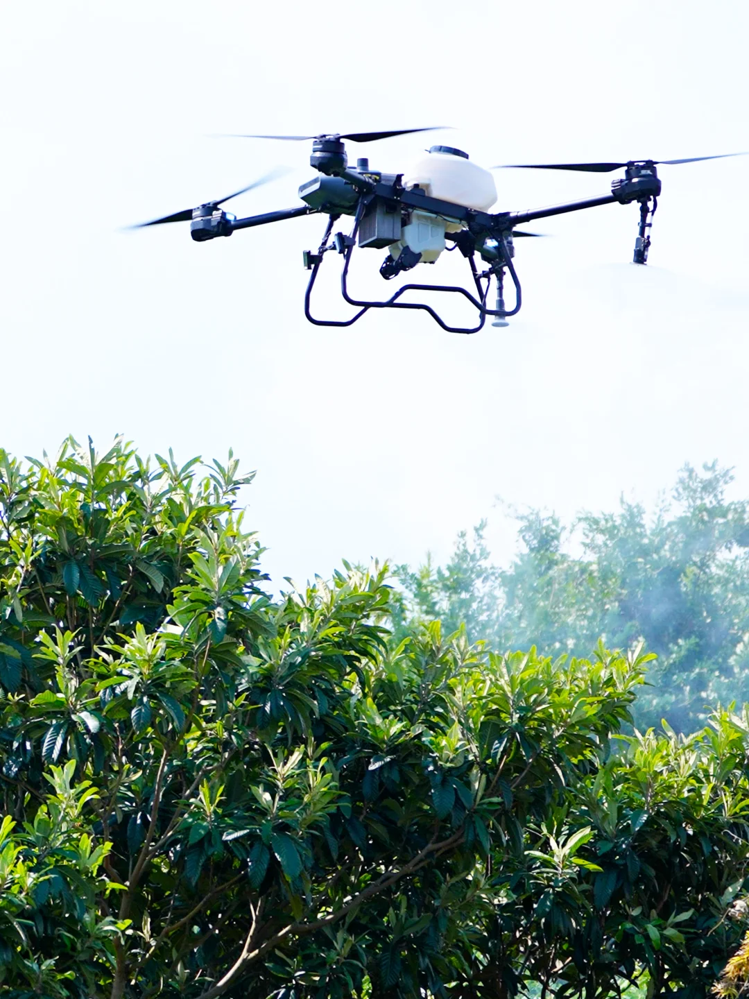 劝你别看!怕你发现无人机轻松赚钱辞职回村