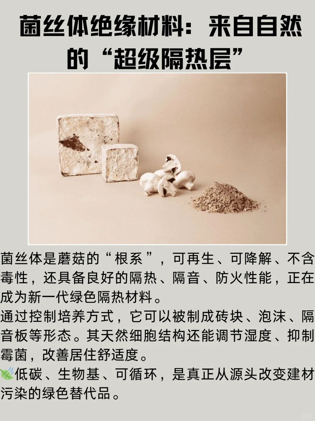 建筑也能呼吸发光发电？