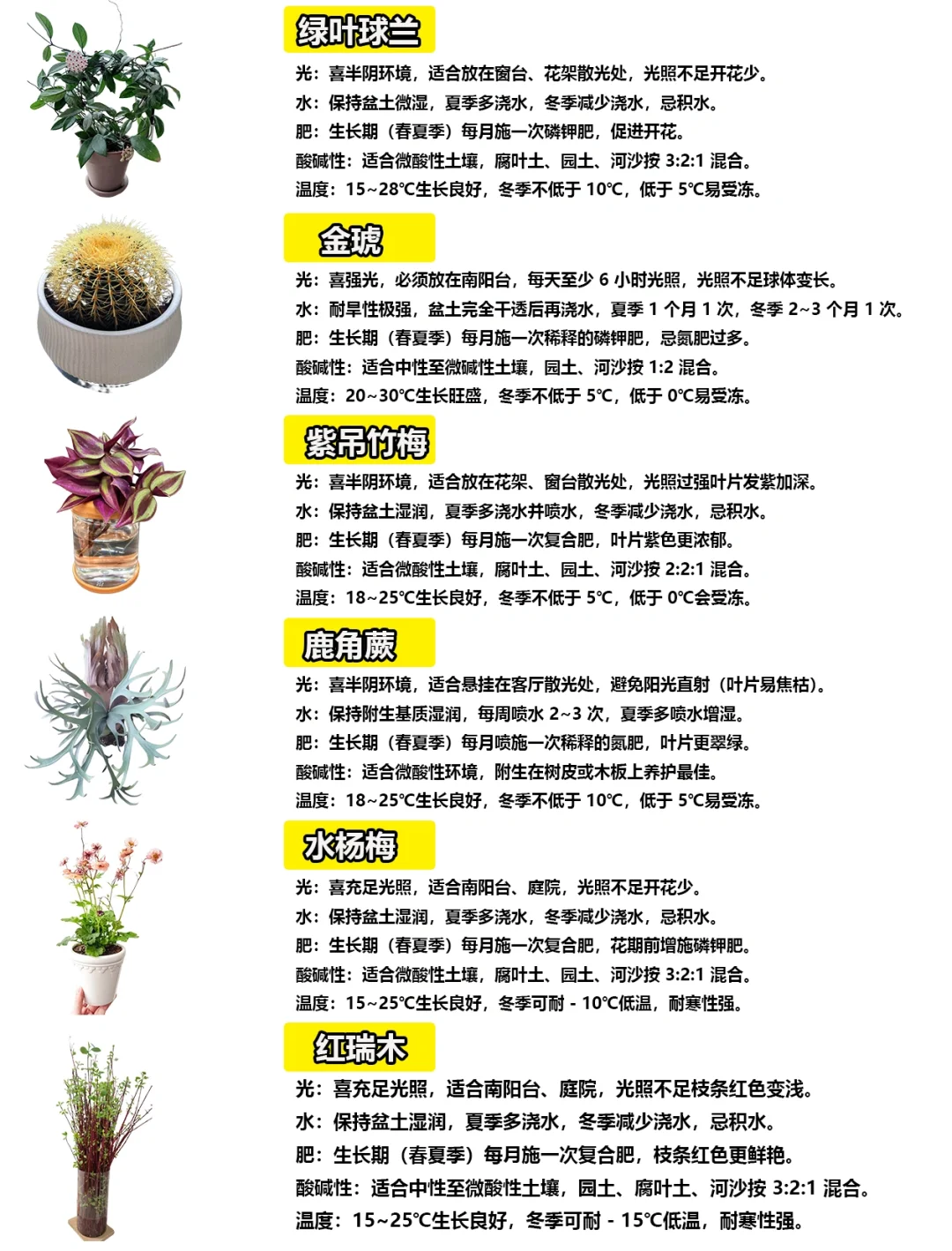 108种绿植花卉养护手册大全