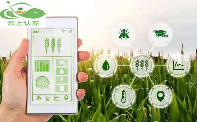云上认养—智慧农业：未来农业发展新趋势！