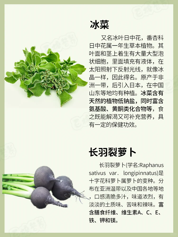 ✨?快来PK，谁能荣登蔬菜王者宝座？✨