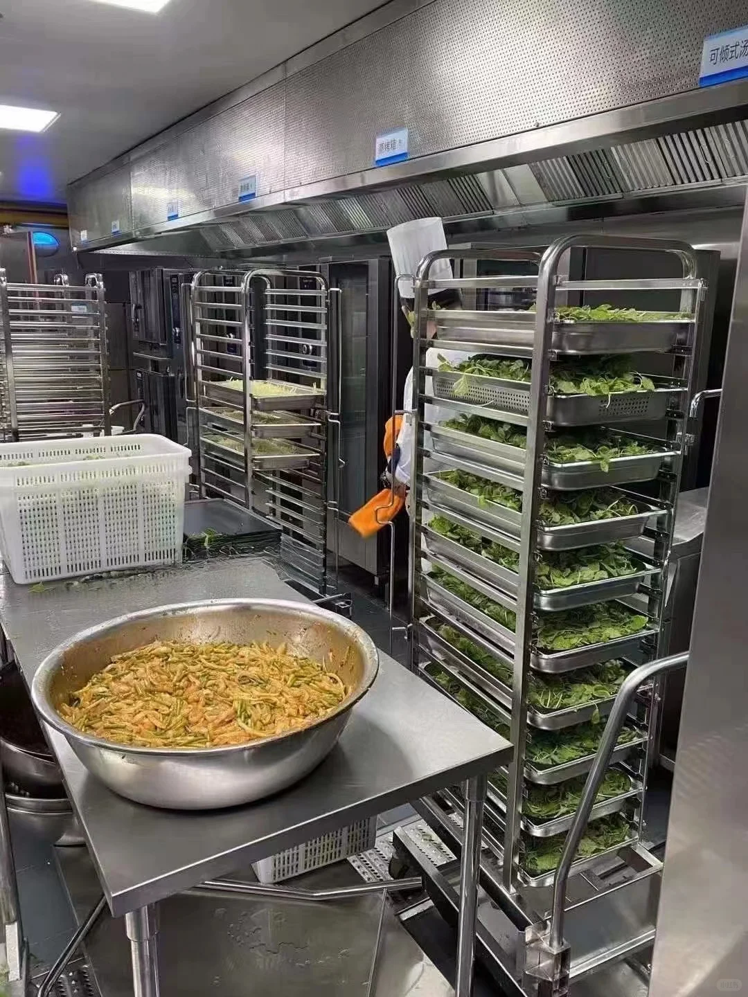 食品加工厂(中央厨房)实拍