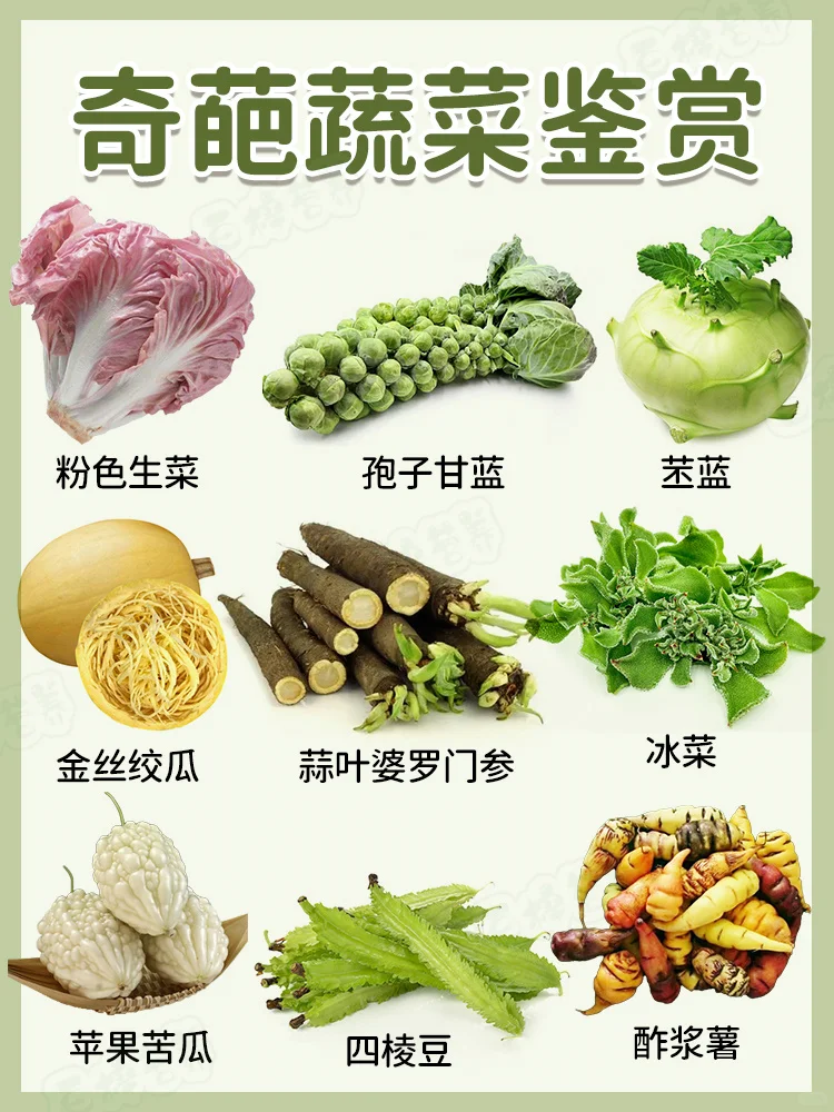 ✨?快来PK，谁能荣登蔬菜王者宝座？✨