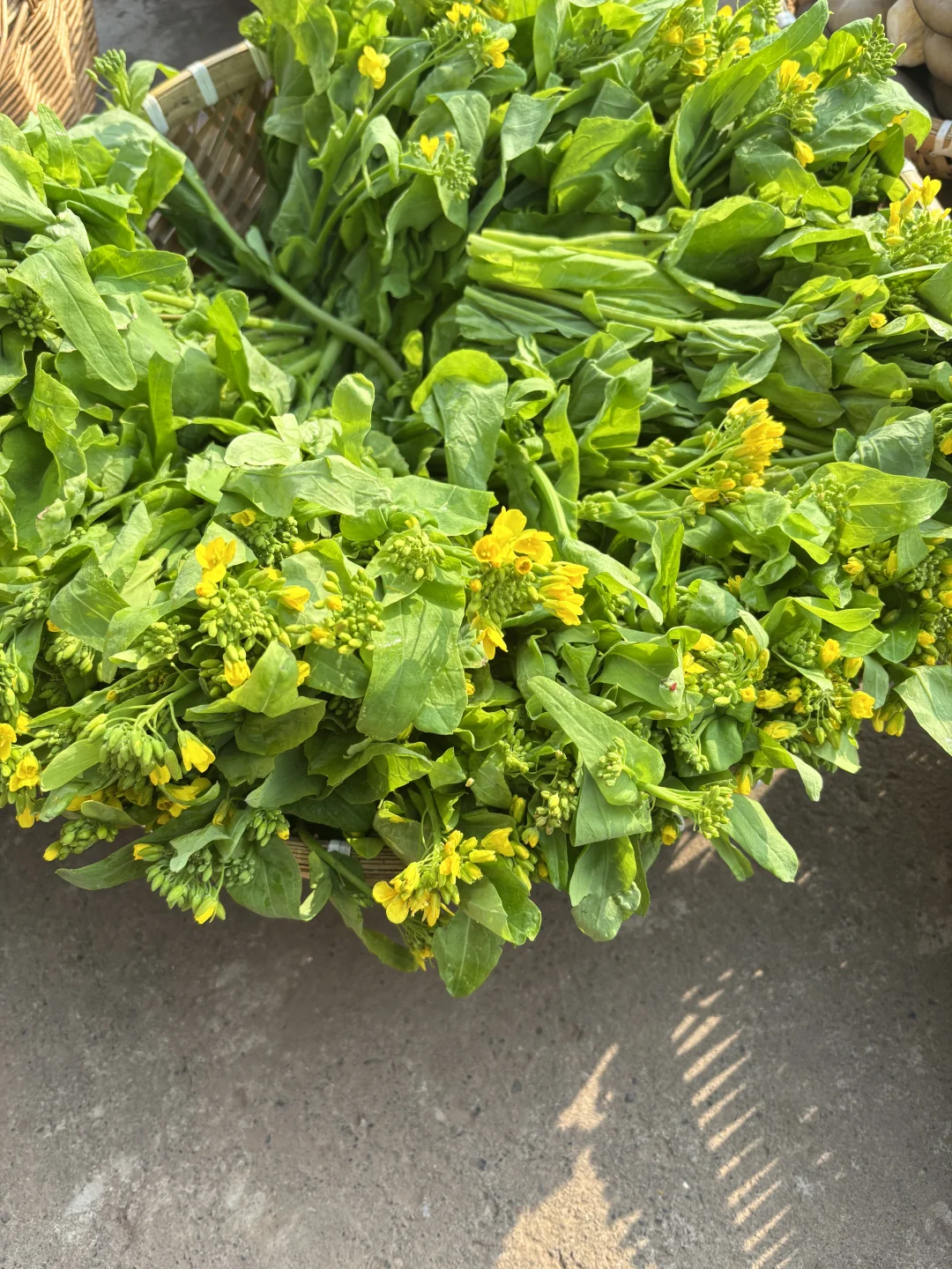 今天给小红书姐妹寄出的露天时令蔬菜拼