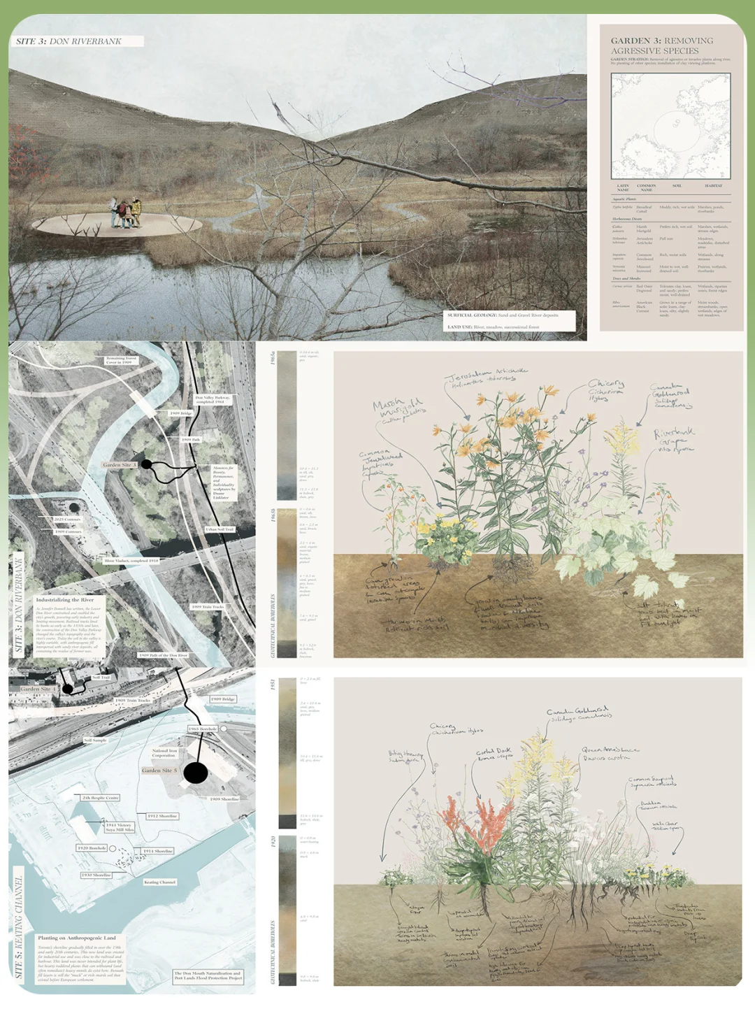 她用植物为“被遗忘的土壤”发声|ASLA卓越奖