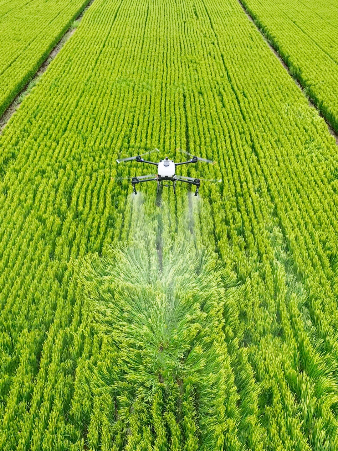劝你别看!怕你发现无人机轻松赚钱辞职回村
