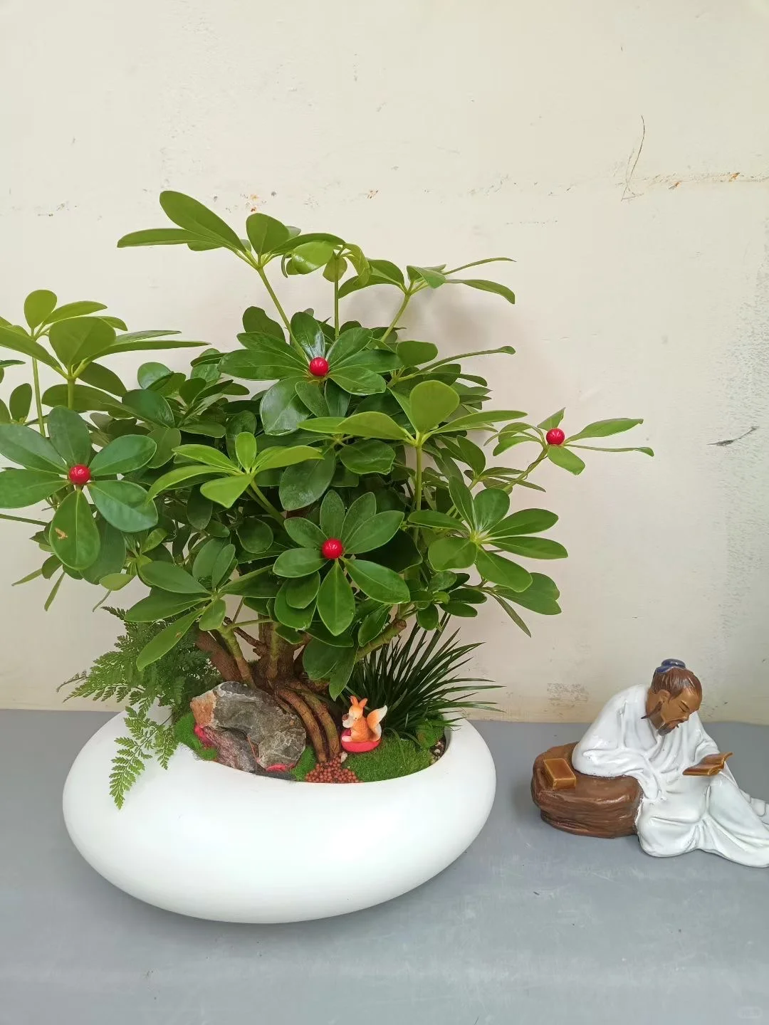 绿植盆栽,让家充满生机与活力!!!