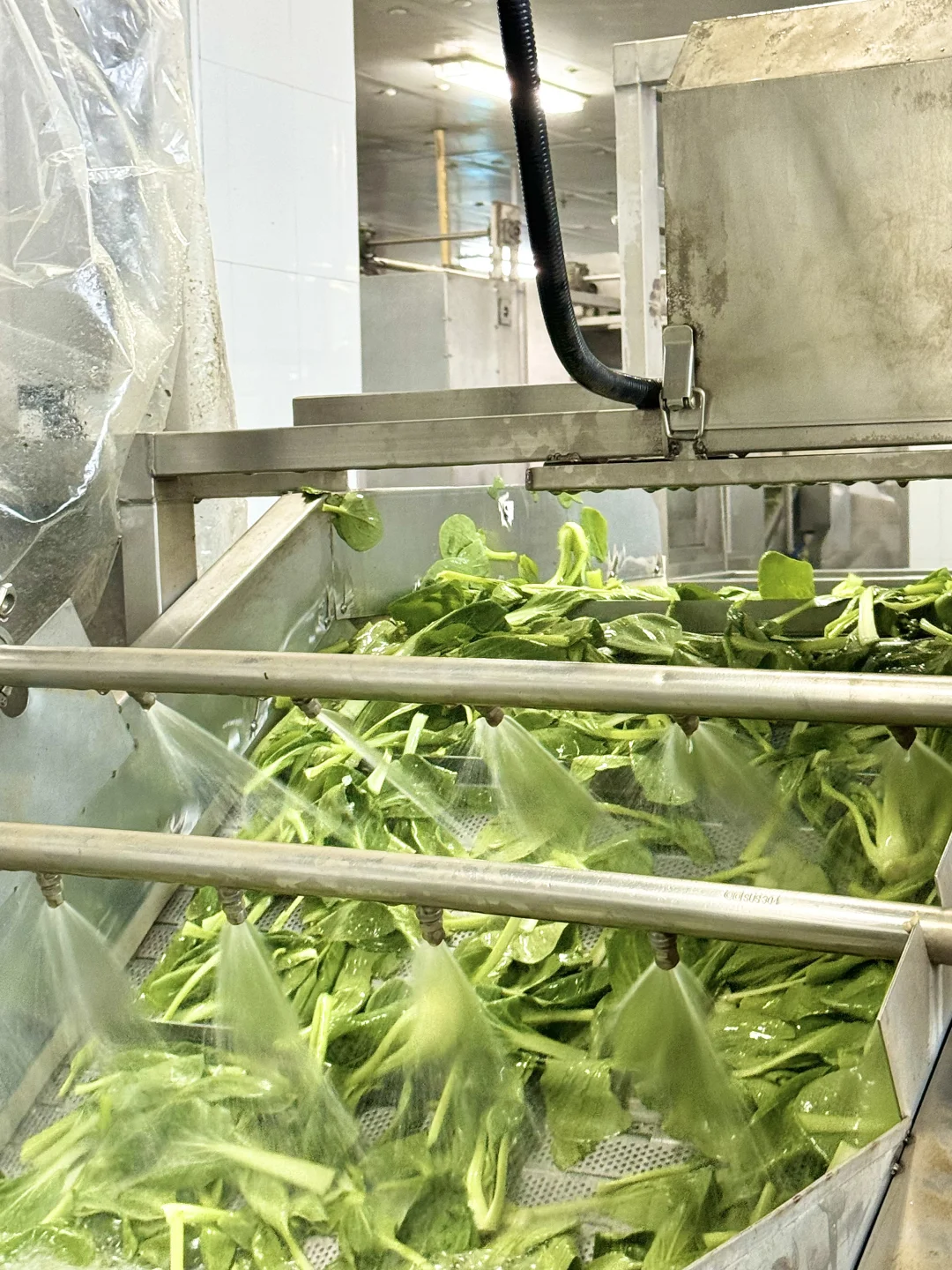 滴！恭喜我拿到巴比工厂一日厂妹体验卡！