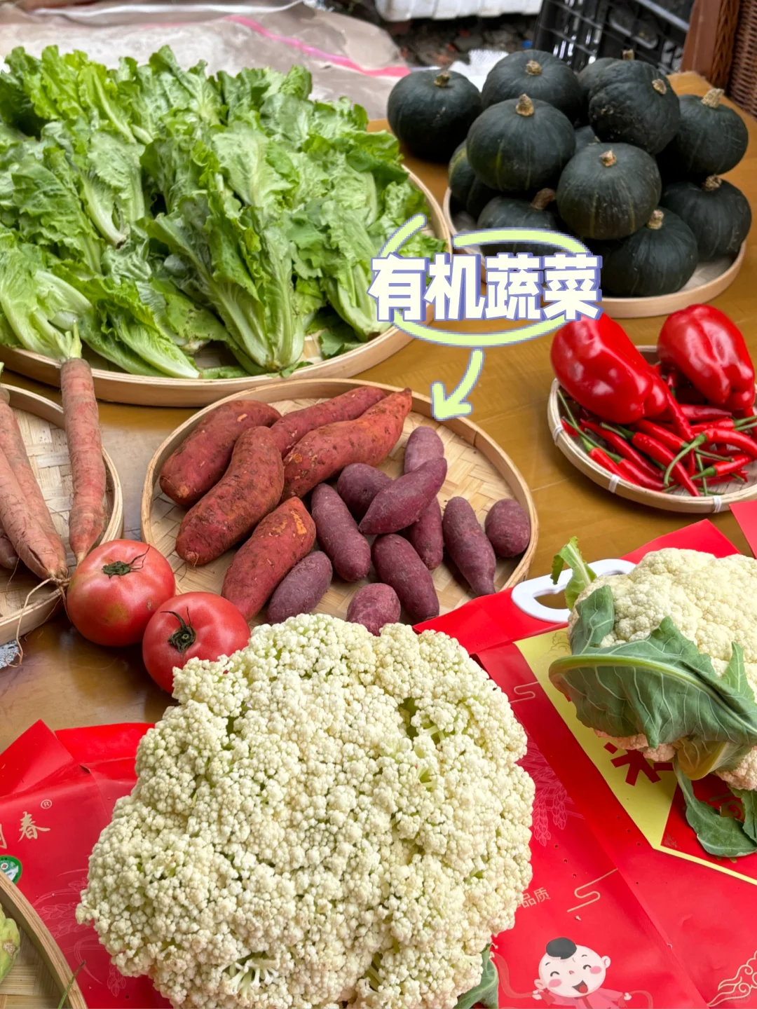 下一个流量风口就是共享菜园！