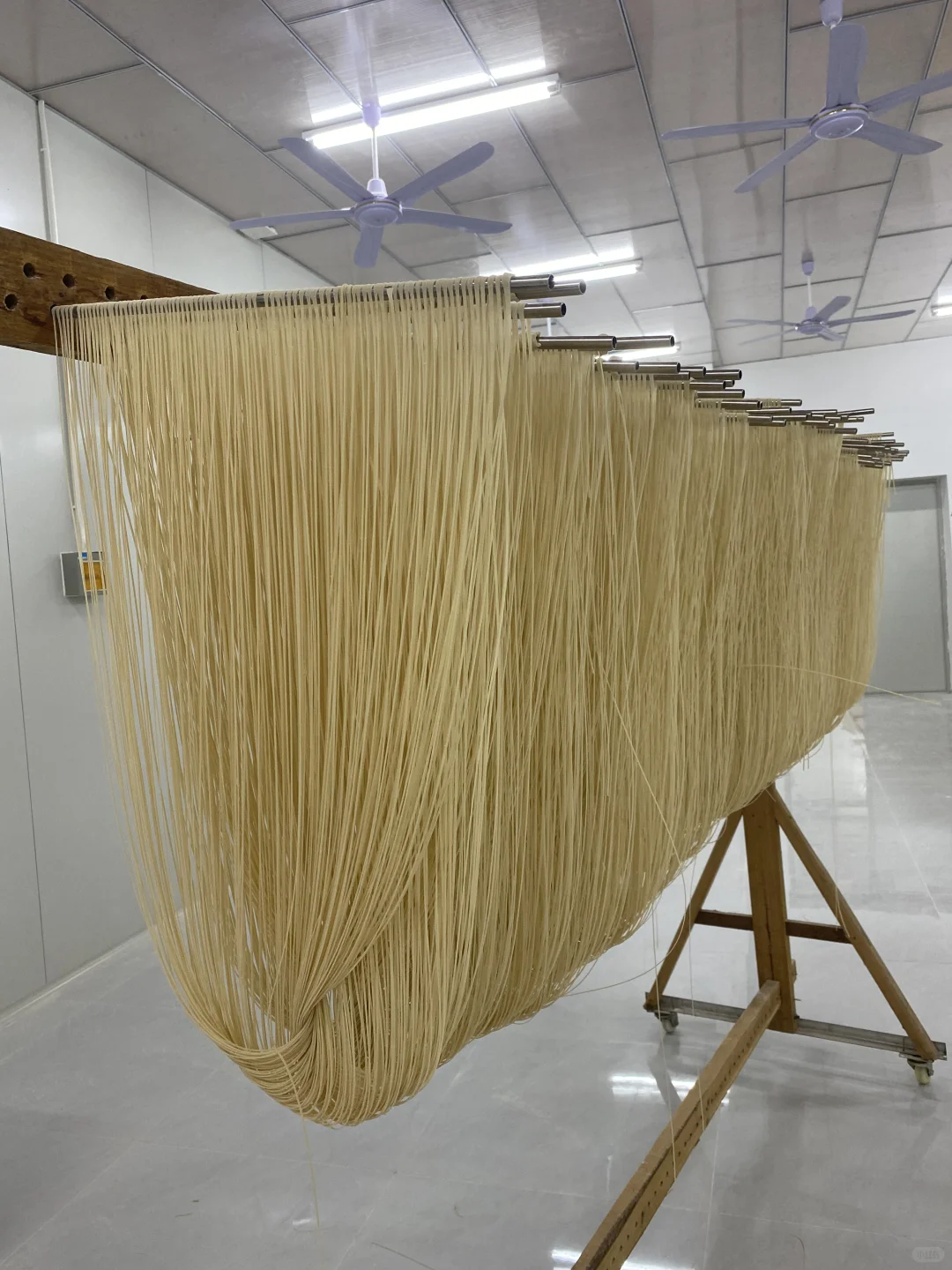 超级干净的挂面工厂！???