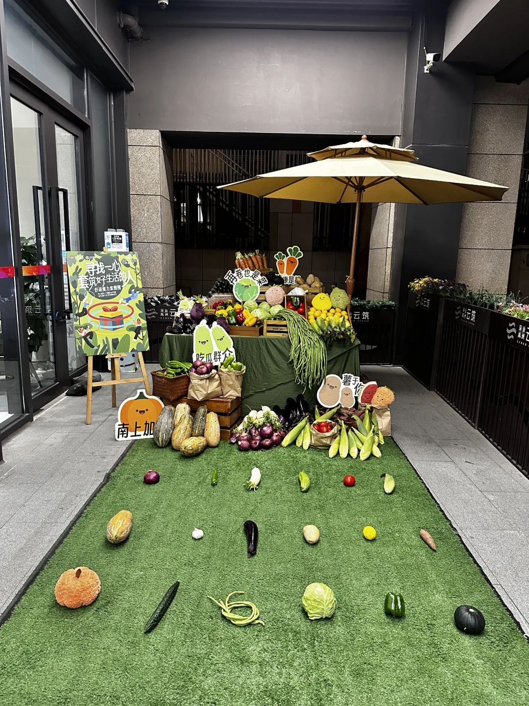 蔬菜套⭕圈你见过吗？