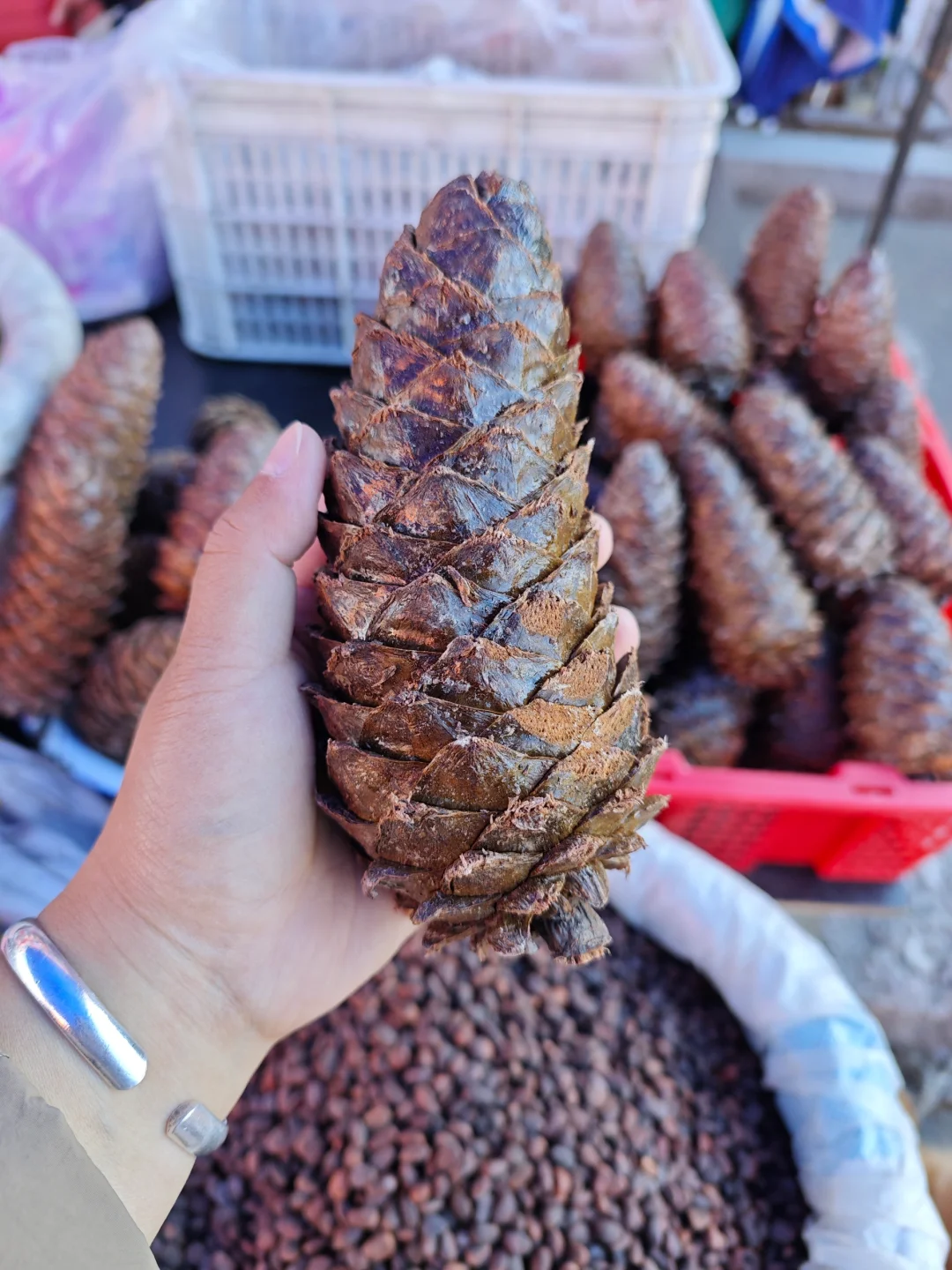 根河早市可以买什么