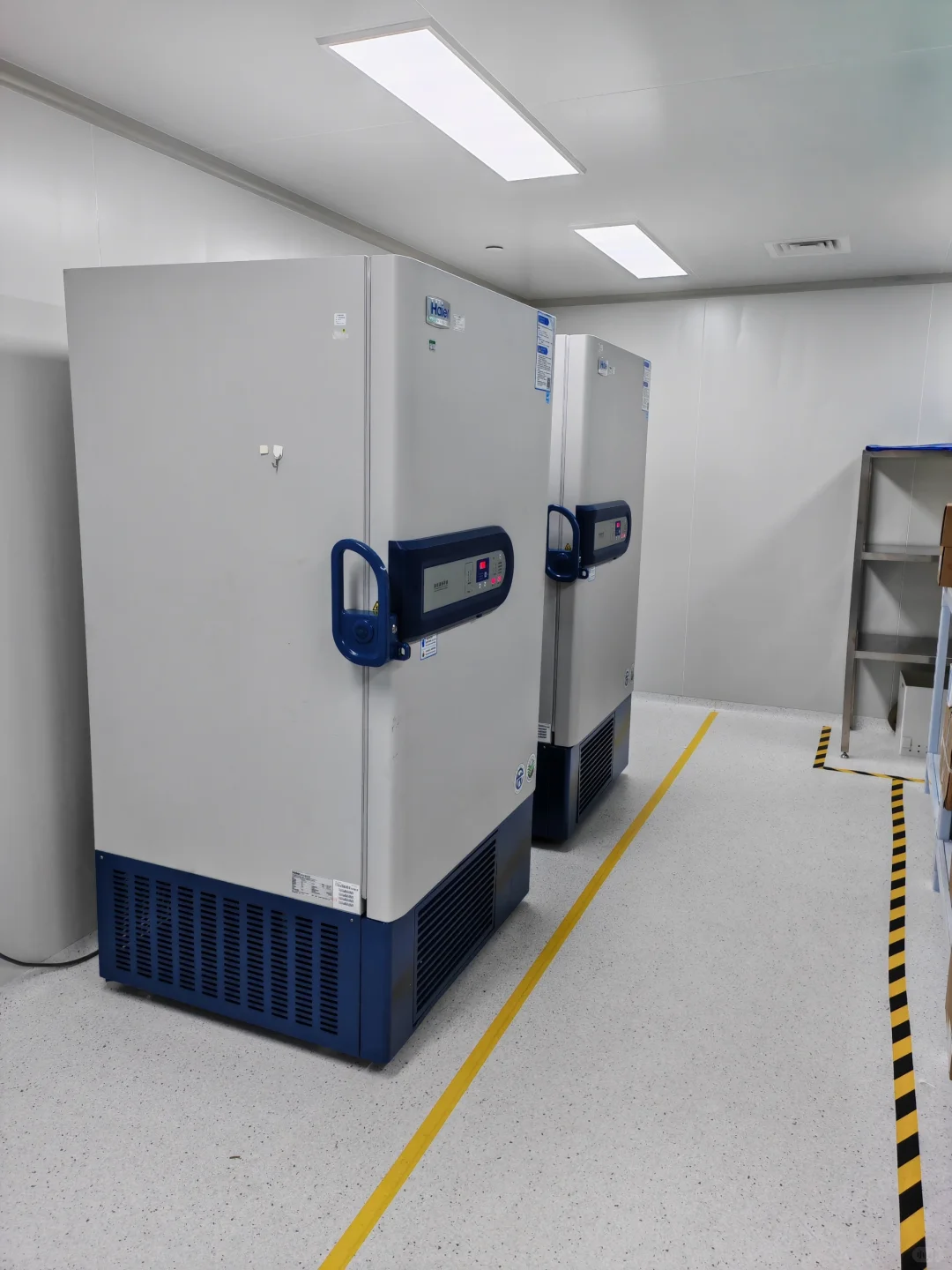 上海顺周日试搬家