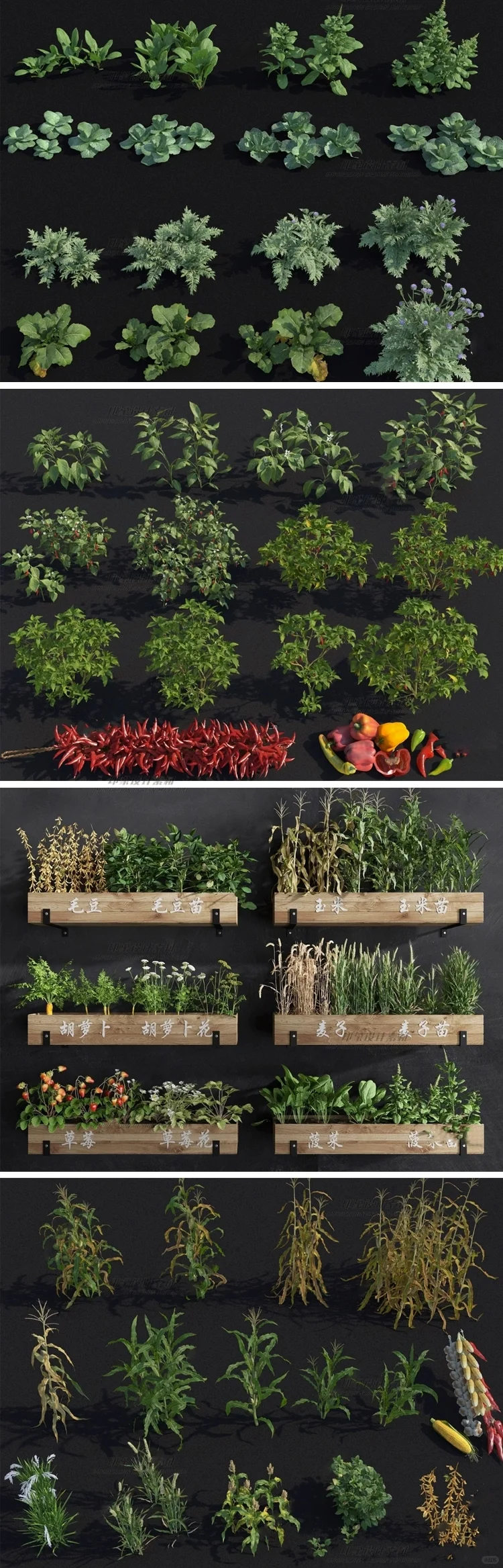 啊啊啊啊啊啊！菜园农作物SU模型！360款