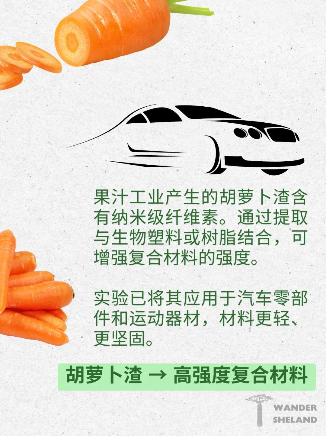 可持续指南｜废弃食材变身新材料 ?