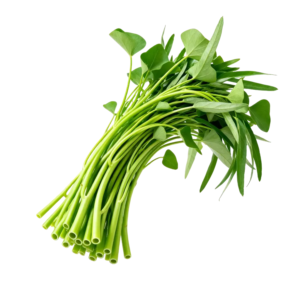 青菜图标，平常你经常吃的是哪一款呢？