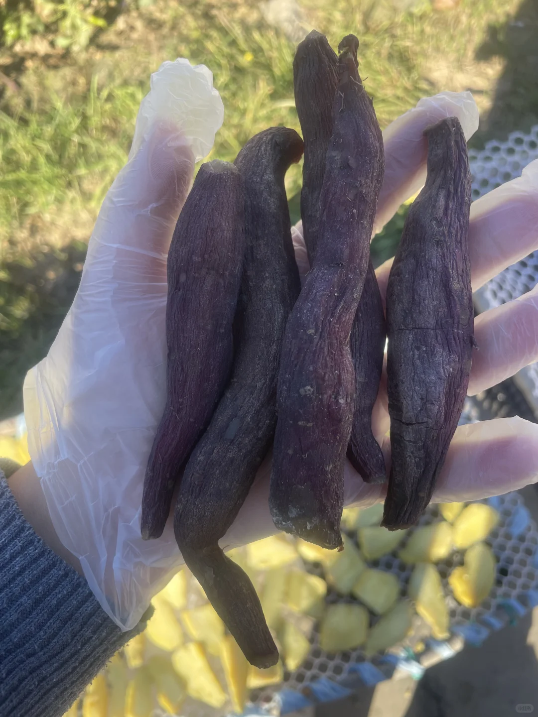 农村小时候老味道的红薯干在这里～