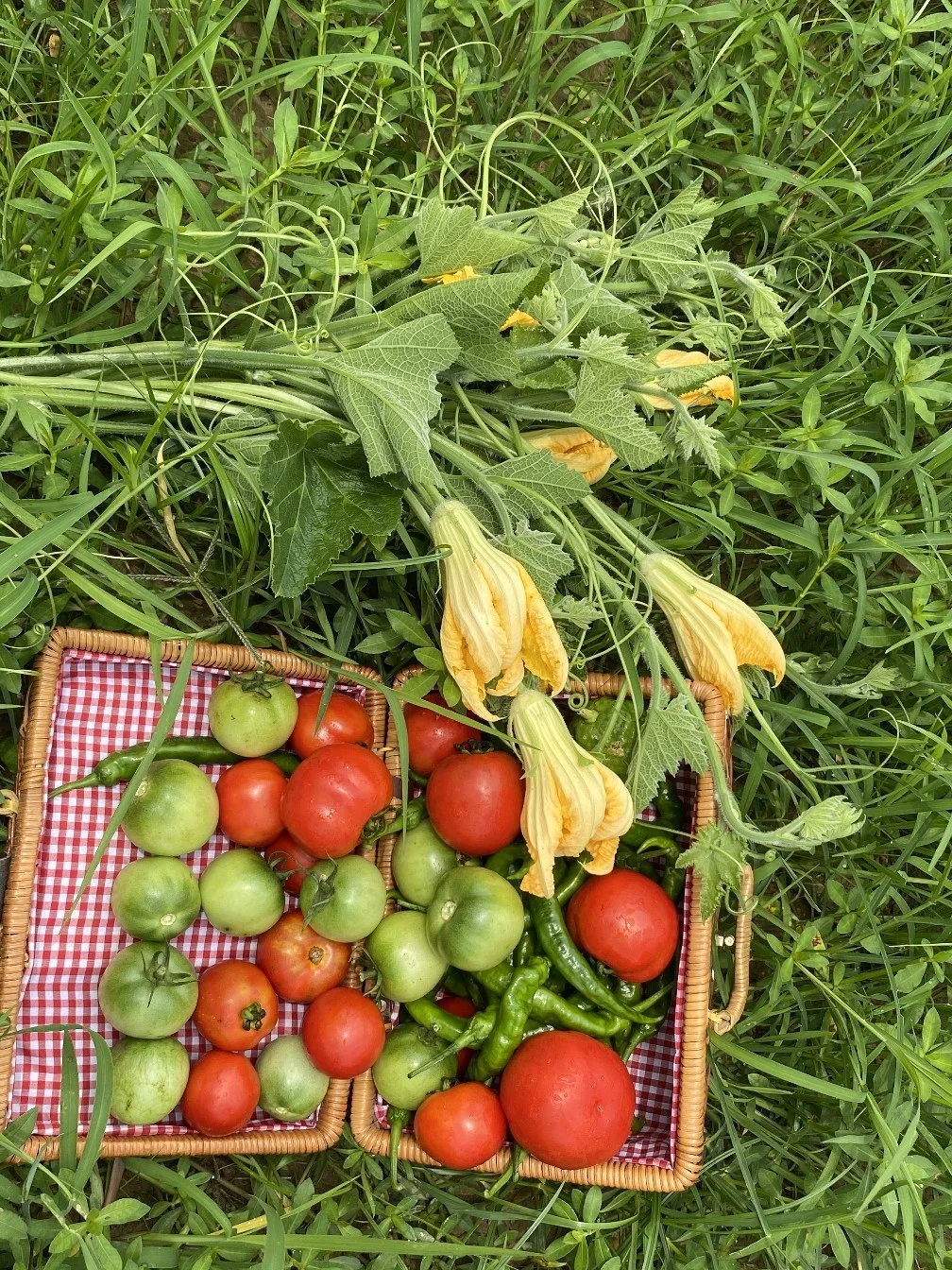 绿色田园与大龄青年